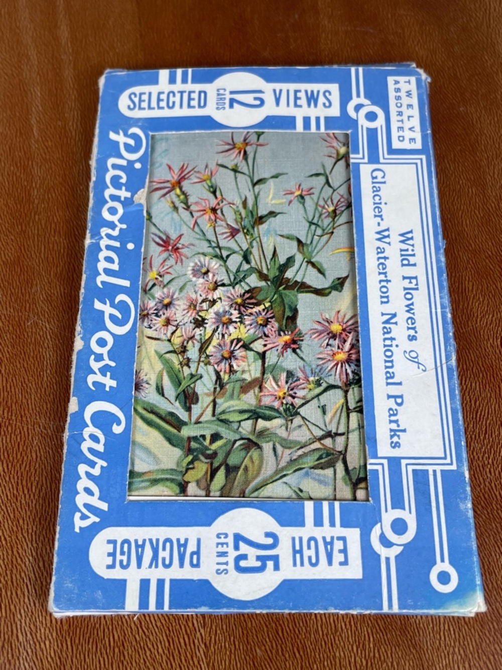 Vintage Pack of Postcards Glacier-Waterton National Parks Floral Set of 12
